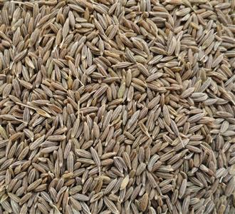 Cumin Seeds